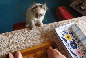 Изображение 007.jpg