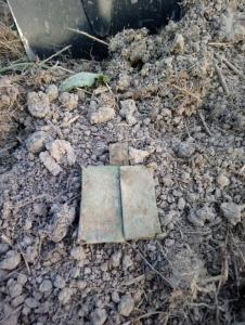 DSC_0087 - копия.JPG