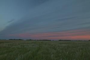 _MG_5728 - копия.JPG