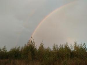 ну и радуга которая указывает на горшочек с золотом.