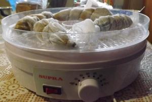 Изображение 021.jpg