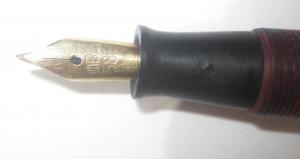 Золотое Перо-крупный план.jpg