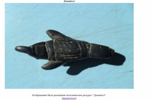 Скриншот 17-10-2018 175708.png