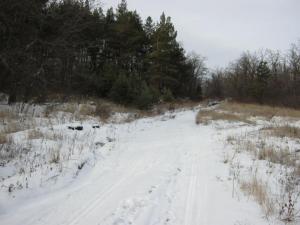 Изображение 1294.jpg