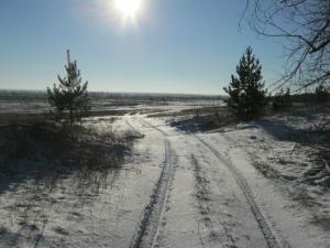 Изображение 1283.jpg