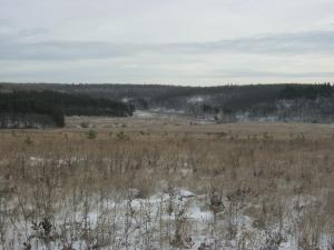 Изображение 1295.jpg