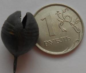 монеты 793.jpg