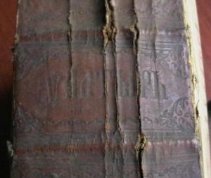 2009-11-02 20-03-00.JPG