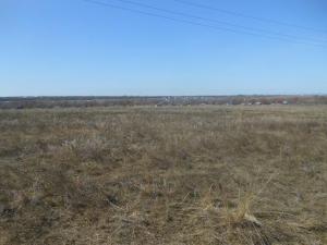 место копа.jpg