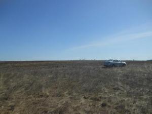 место копа2.jpg