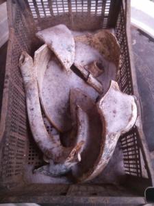 image-2019-01-17 18_45_28.jpg