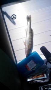 2015-06-12 15-38-28 (1).JPG