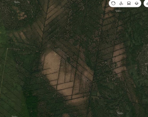 Слияние Вычегды и Сев Двины.PNG