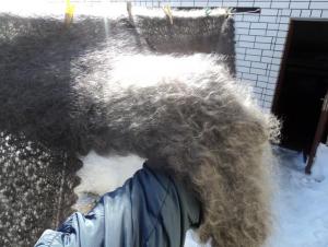 загруженное (4).jpg