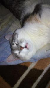 2017-12-02 09-09-32.JPG