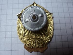 DSC06942 (Small).JPG