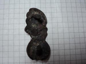 DSC06937 (Small).JPG