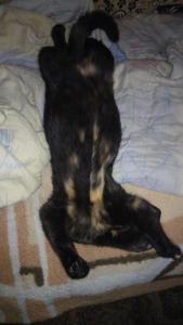 2017-12-02 18-20-23.JPG