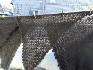 загруженное (1).jpg