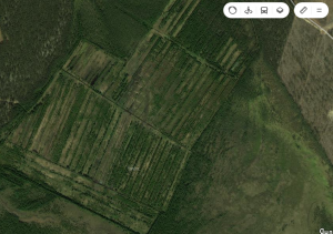 по р Уфтюга.PNG