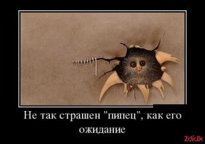1431114844_podborka_luchshikh_demotivatorov_155_004.jpg