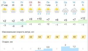 Без имени.jpg