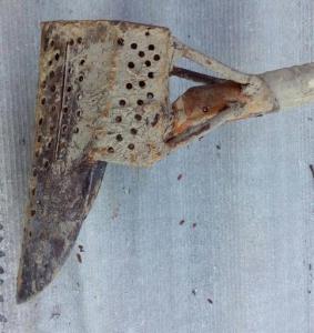 31-03-2019 18-28-05.jpg