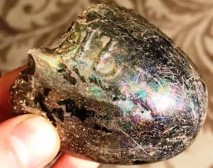 Новый рисунок.jpg