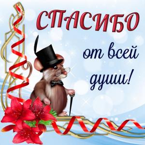 spasibo0044.jpg