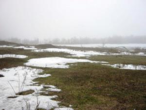 Изображение 1438.jpg