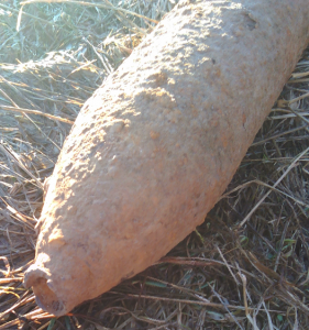 Без названия (2).png