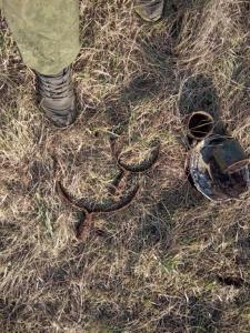 железная сопутка.jpg