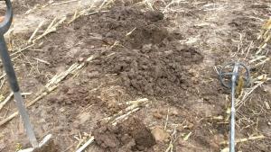 2019-04-15 11-08-36.JPG