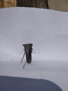 955e9ba4-62c1-4475-9f36-86be9242f0ca (1).jpg