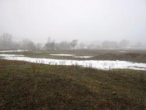 Изображение 1437.jpg