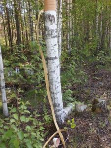 P6165492 — копия.JPG