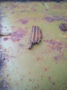 IMG_20190414_135811 (Копировать).jpg