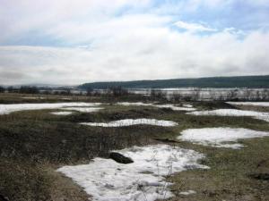 Изображение 1441.jpg