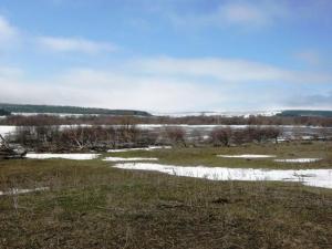 Изображение 1440.jpg