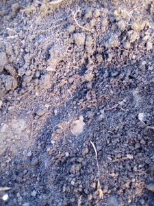 WhatsApp Image 2019-04-21 at 07.34.52.jpeg