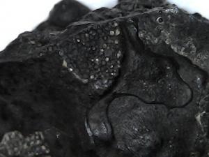 Thu May 09 08-32-34.jpg