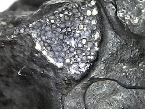 Thu May 09 08-38-32.jpg