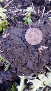 WhatsApp Image 2019-05-12 at 15.01.39.jpeg