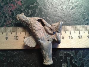 2017-02-09 12.57.23.jpg