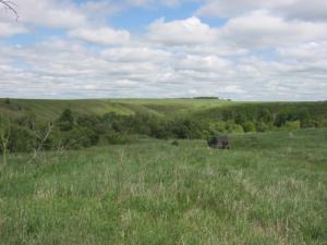 Изображение 1506.jpg