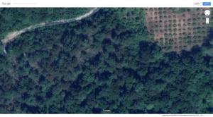 Screenshot_2019-06-17 Google Maps.jpg