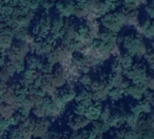 Screenshot_2019-06-17 Google Maps.jpg