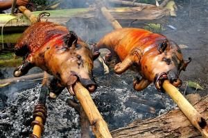 2-pigs-on-spit.thumb.jpg.8edf4ffe8d2224107e6191321ff90116.jpg