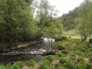 PHOTO-2019-06-15-12-26-15 2.jpg