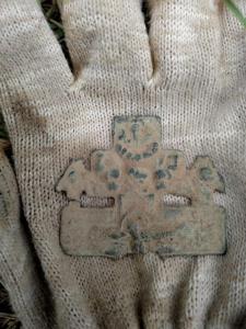 WhatsApp Image 2019-07-11 at 08.35.55.jpeg